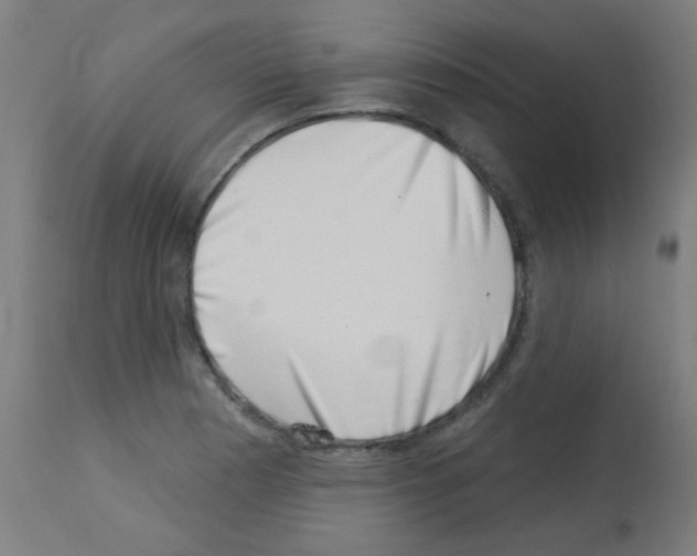 X0000113001177200910081151