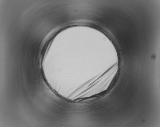 X0000113001180200910081151