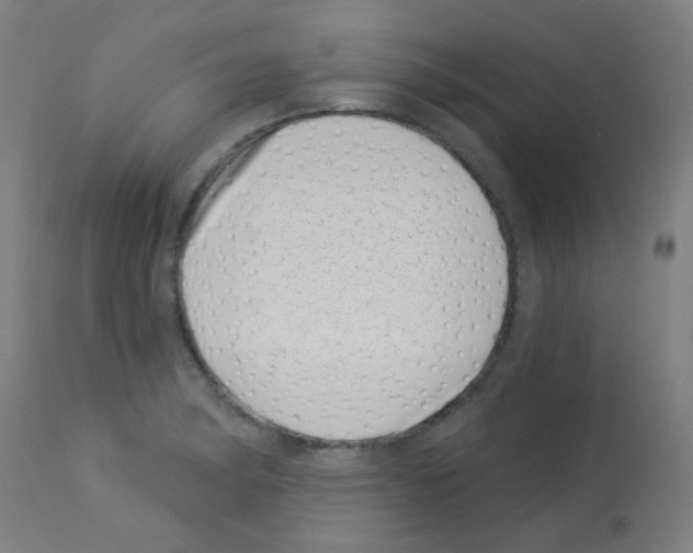 X0000113001182200910081151