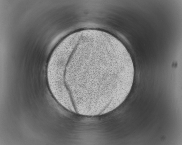 X0000113001183200910081151