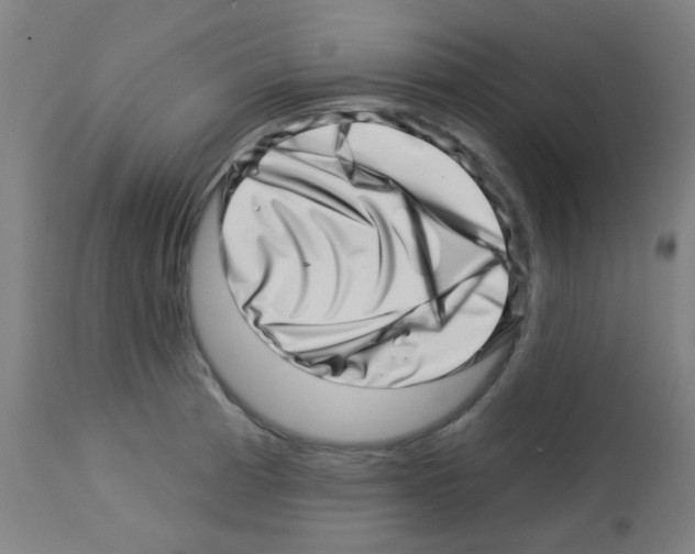 X0000113001185200910081151