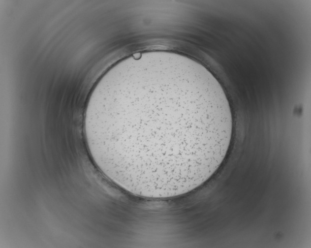 X0000113001186200910081151