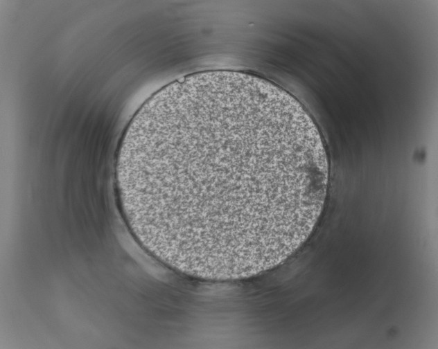 X0000113001187200910081151