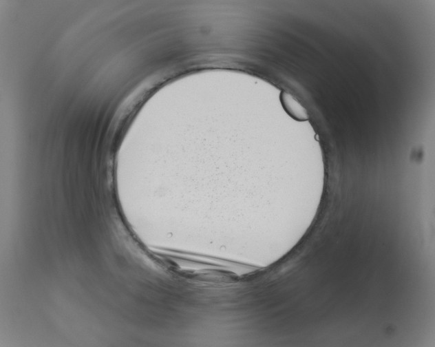 X0000113001188200910081151