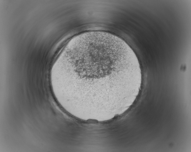 X0000113001189200910081151