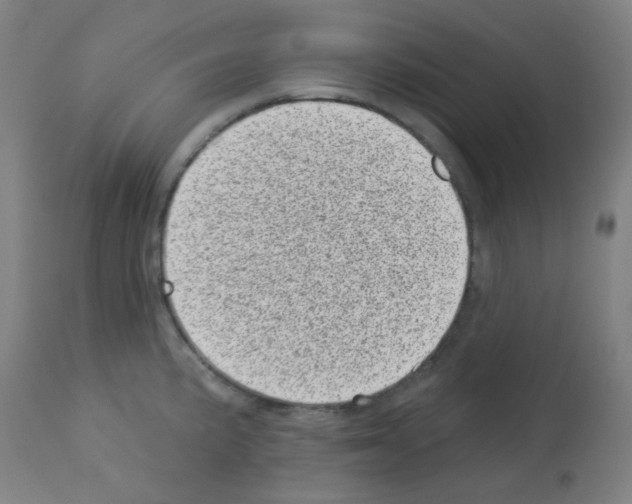 X0000113001191200910081151