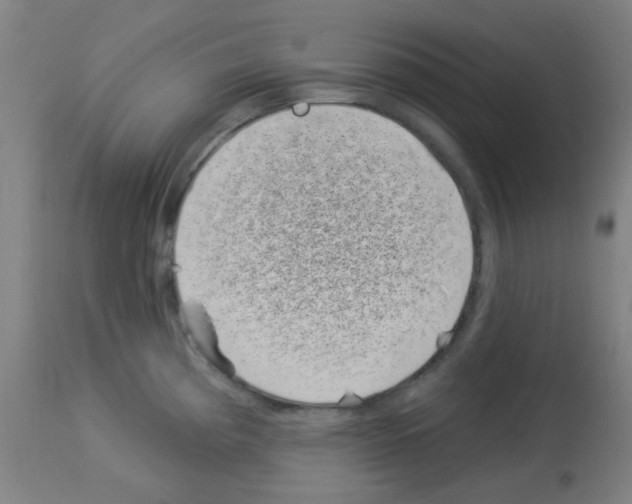 X0000113001193200910081151