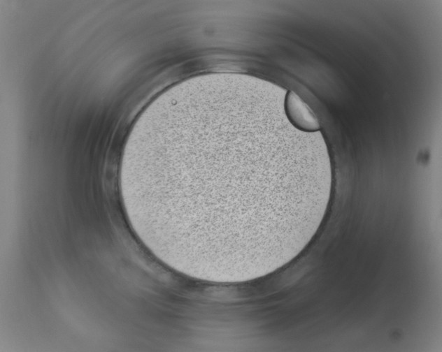 X0000113001194200910081151