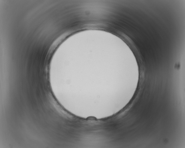 X0000113001196200910081150