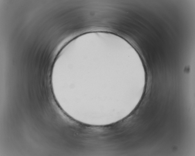 X0000113001197200910081150