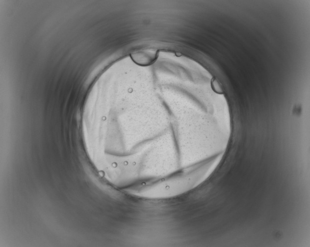 X0000113001198200910081150