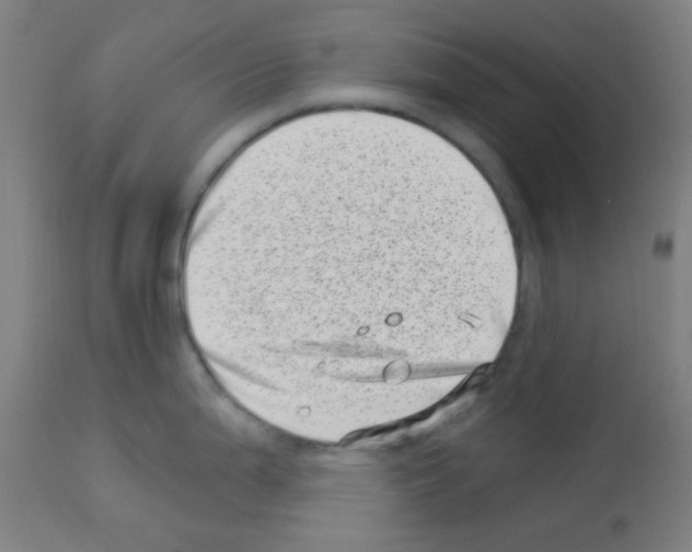 X0000113001199200910081150