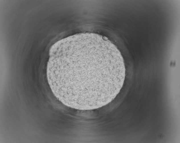 X0000113001201200910081149