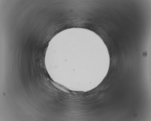 X0000113001202200910081149