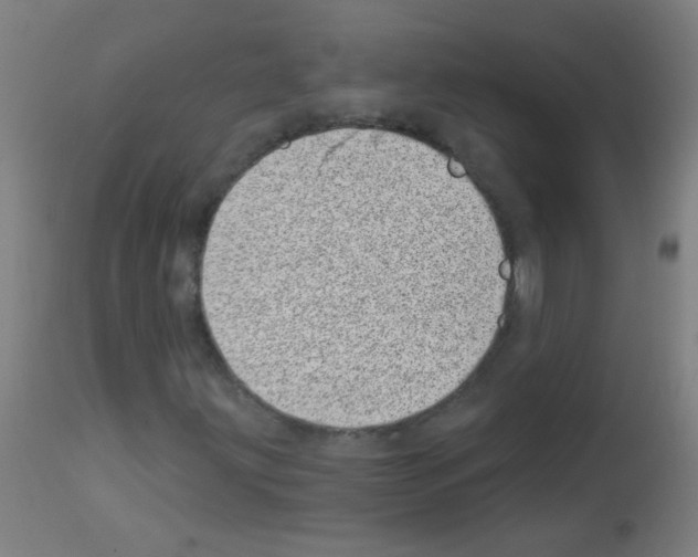 X0000113001203200910081149