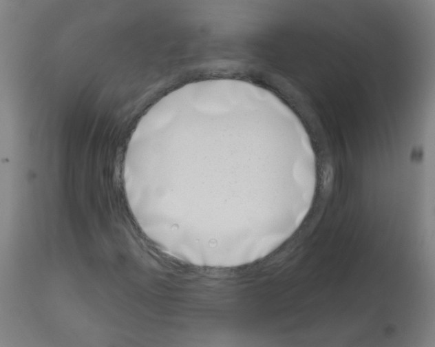 X0000113001204200910081149