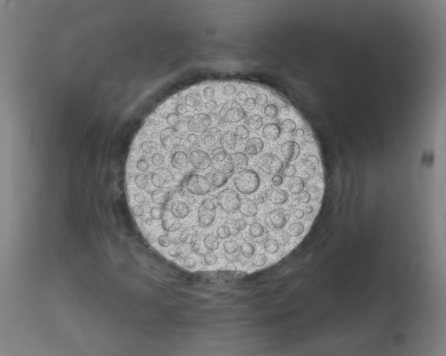 X0000113001205200910081150