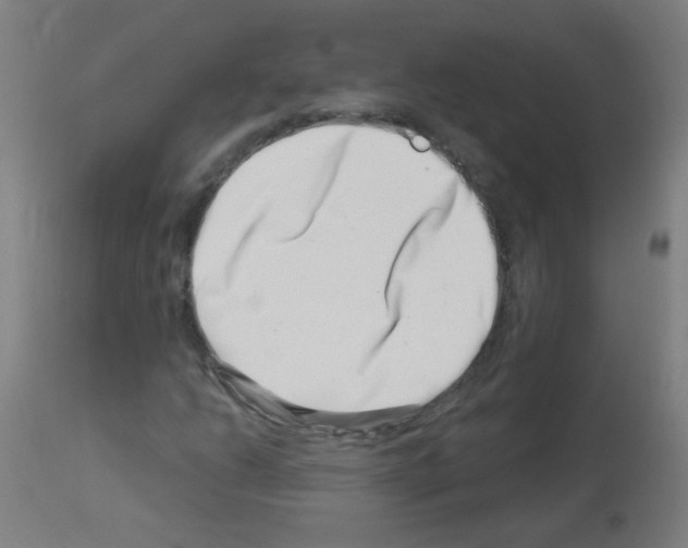 X0000113001206200910081150