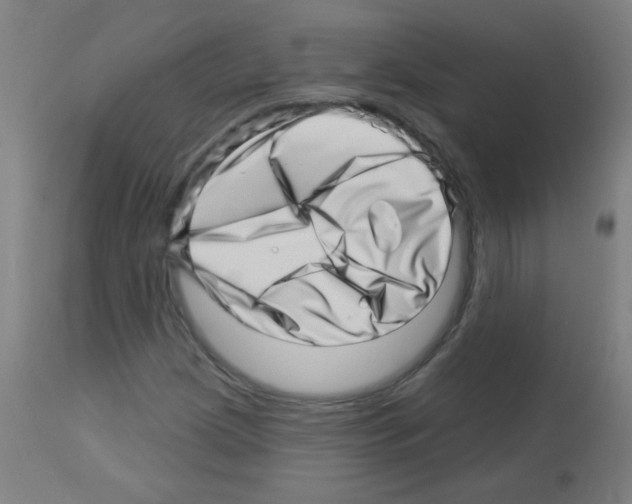 X0000113001209200910081150