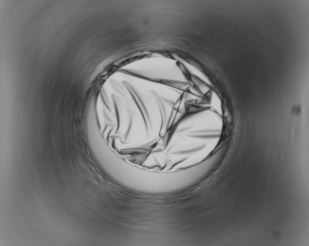 X0000113001210200910081150