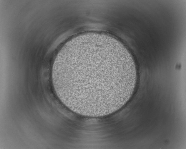 X0000113001211200910081150