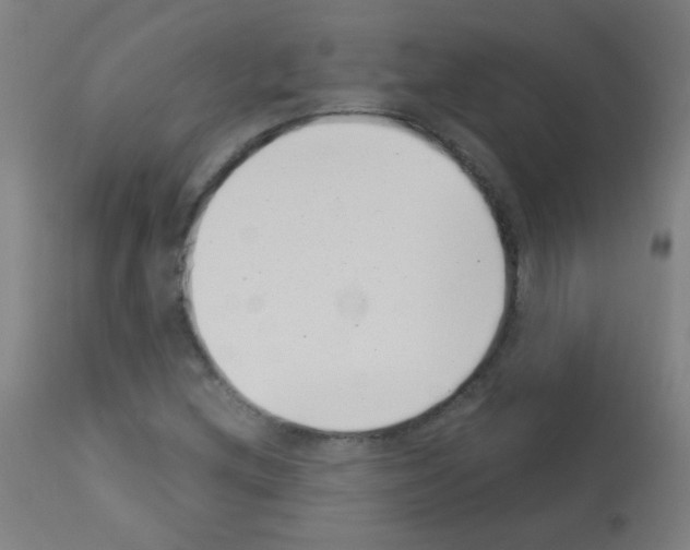 X0000113001212200910081150