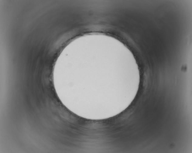 X0000113001213200910081150