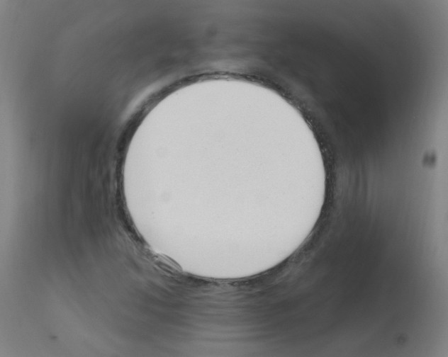 X0000113001214200910081150