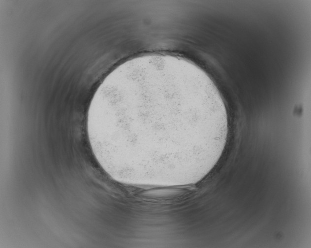 X0000113001217200910081150