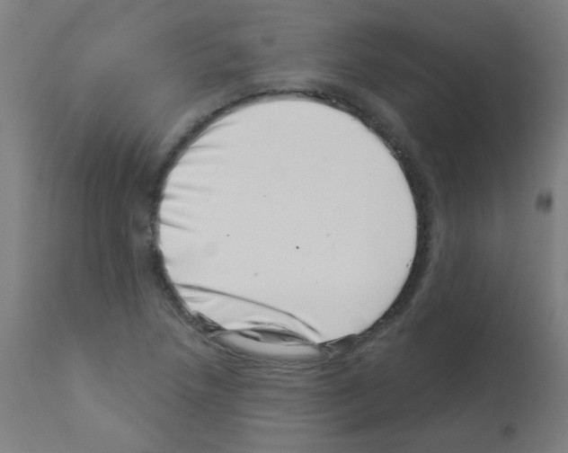 X0000113001218200910081150