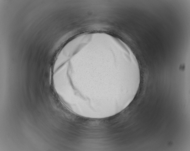 X0000113001219200910081150