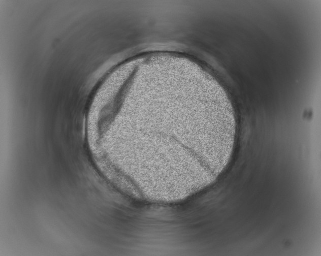 X0000113001221200910081150