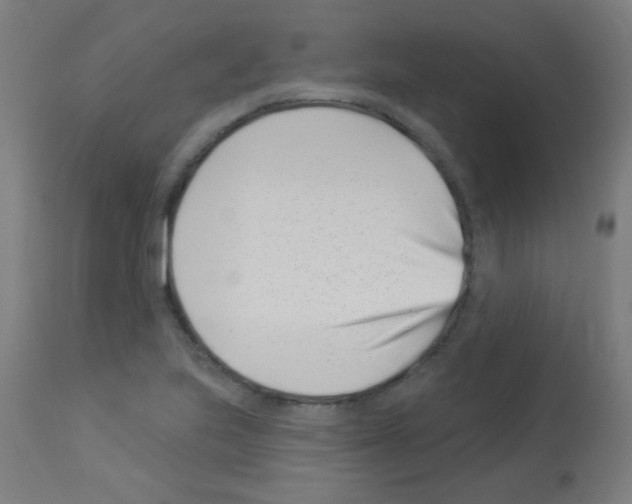 X0000113001223200910081150