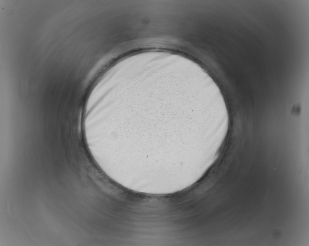 X0000113001224200910081150