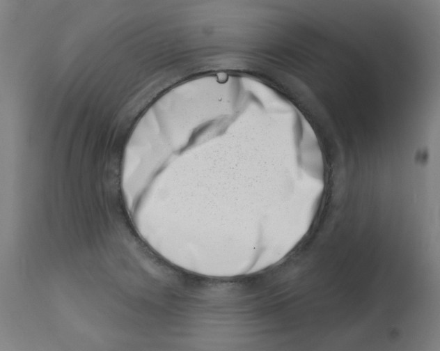 X0000113001225200910081150