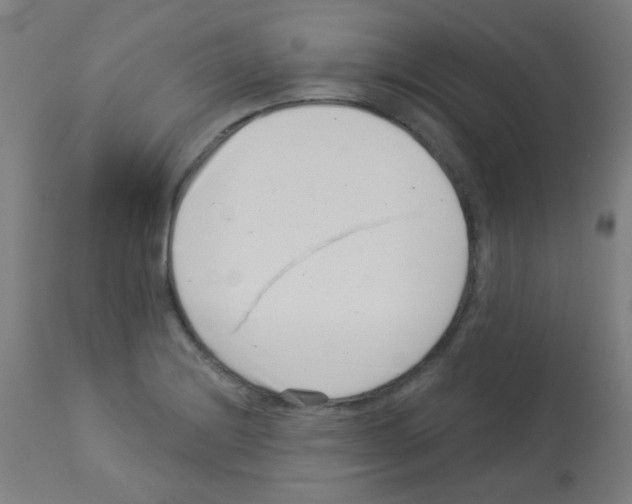 X0000113001228200910081150