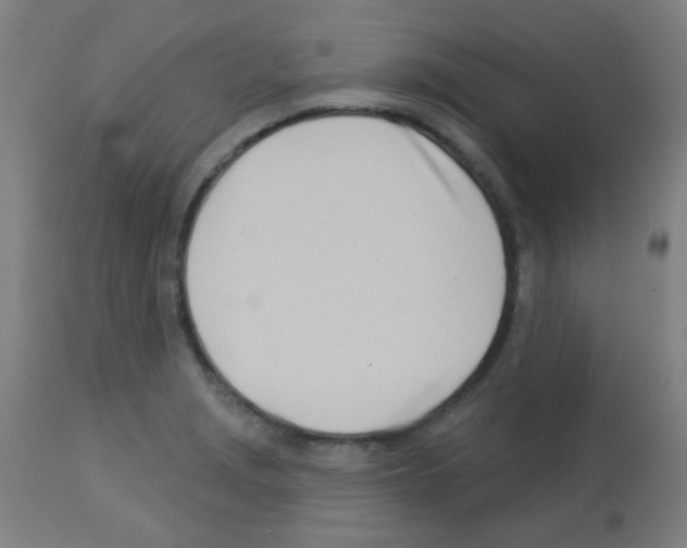 X0000113001229200910081150