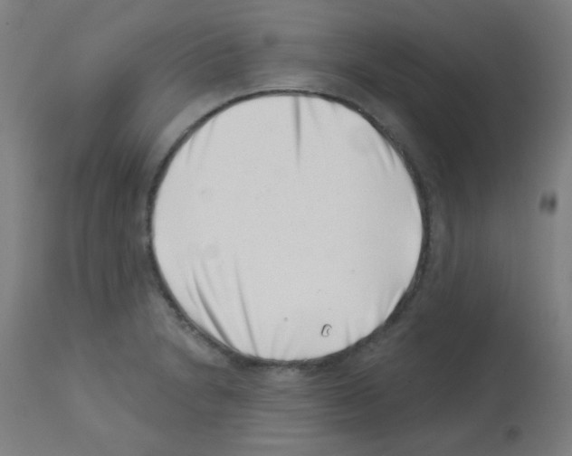 X0000113001230200910081150