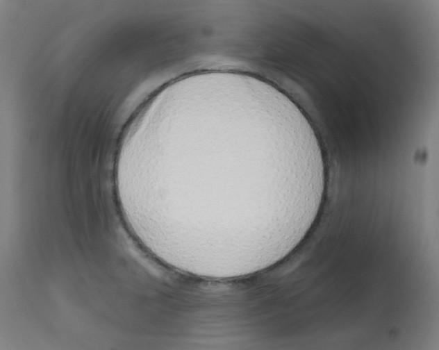 X0000113001231200910081150