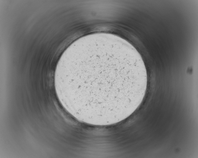 X0000113001233200910081150