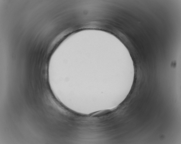 X0000113001238200910081150