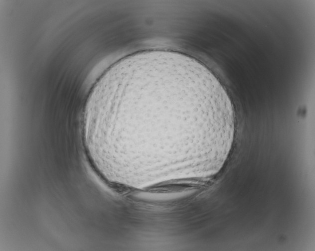 X0000113001239200910081150