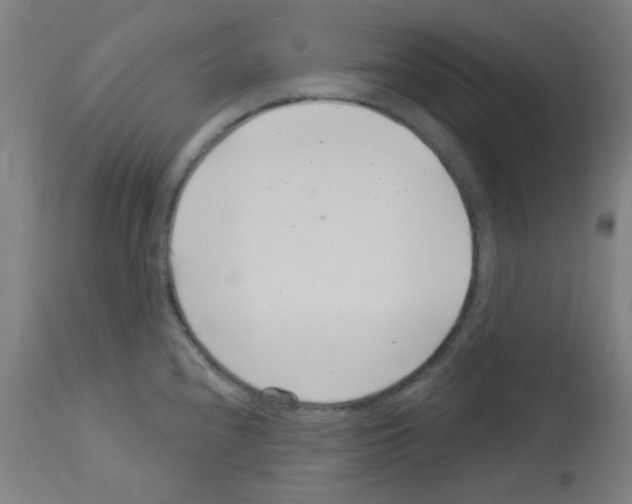 X0000113001240200910081150