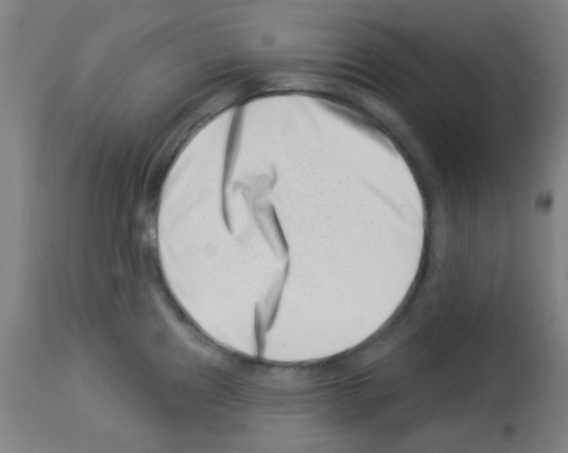 X0000113001241200910081150