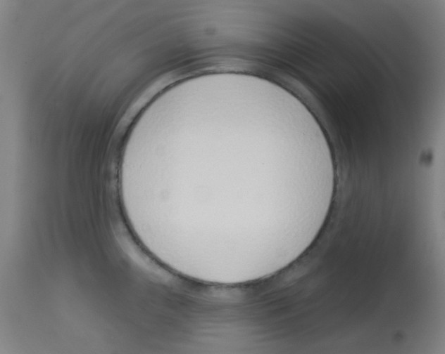 X0000113001243200910081150