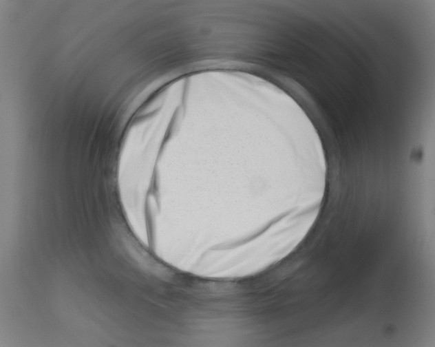 X0000113001244200910081150