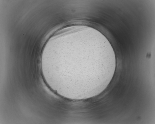 X0000113001247200910081150