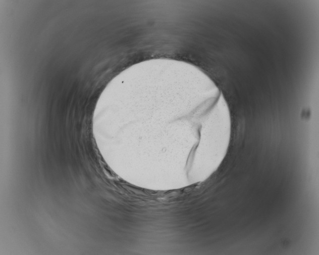 X0000113001250200910081149