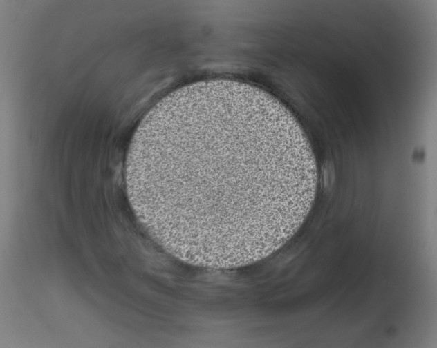 X0000113001251200910081149