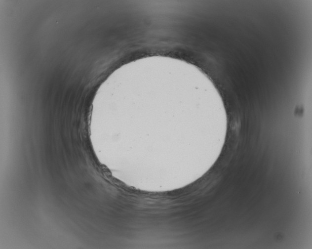 X0000113001252200910081149